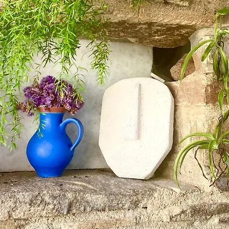 Dina Naxos Apartment